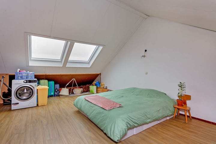 Foto 27 van Schijfmos 76