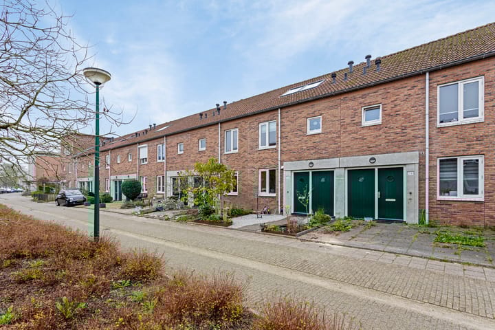 Foto 28 van Schijfmos 76