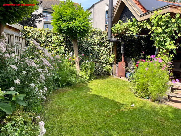 Foto 36 van Zwaluw 51