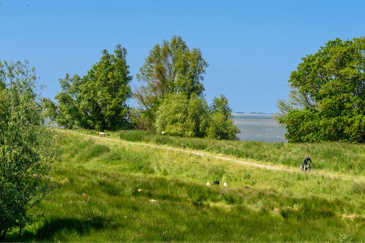 Bekijk foto 19 van Rietwoningen - vrijstaand (Bouwnr. 16)