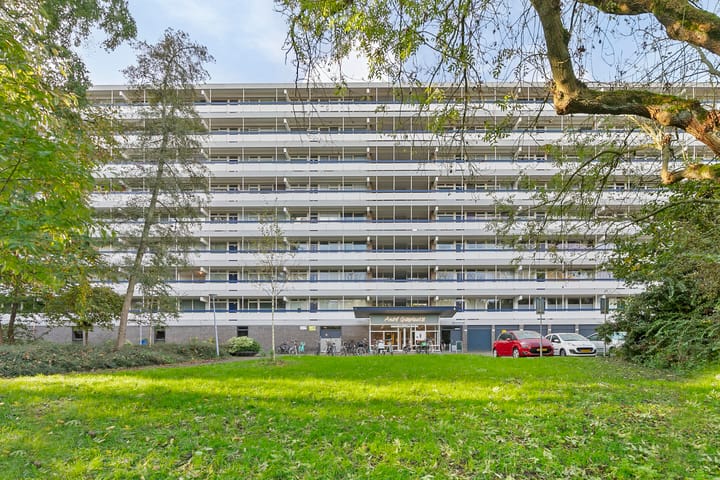 Foto 2 van André Gideplaats 343