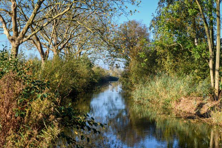 Bekijk foto 30 van Rietwoningen - vrijstaand (Bouwnr. 16)