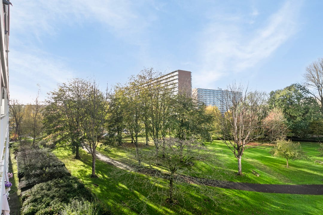 Foto 26 van André Gideplaats 343