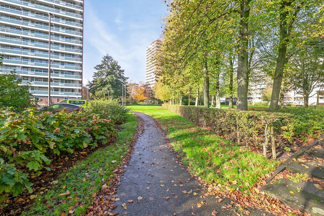 Foto 37 van André Gideplaats 343