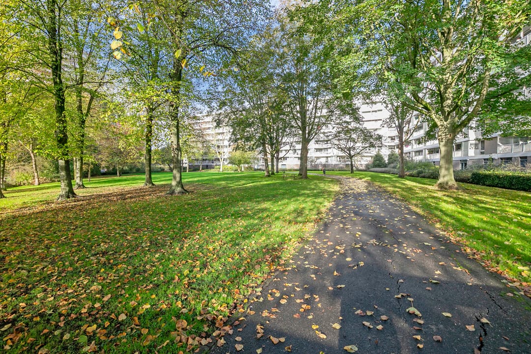 Foto 38 van André Gideplaats 343