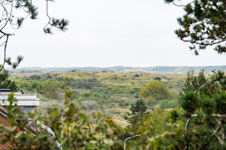 Foto 11 van De Schelp 66