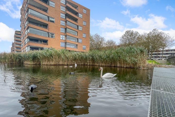 Bekijk foto 29 van Lambertus Zijlplein 72