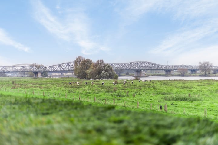 Foto 23 van Maasboulevard 181