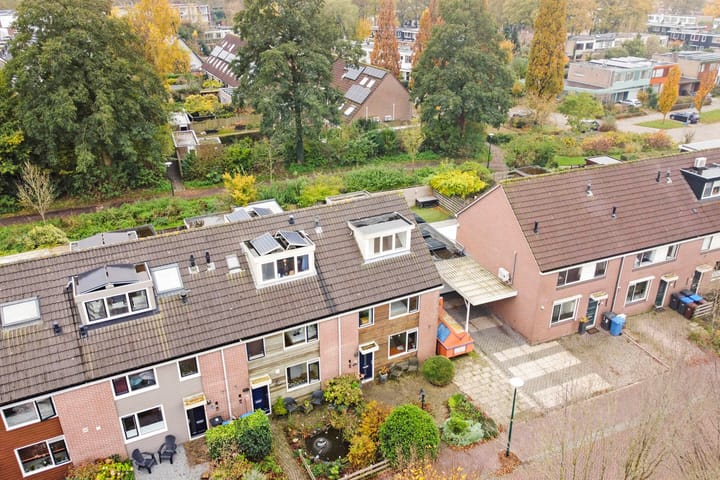 Foto 3 van Fluitekruid 19