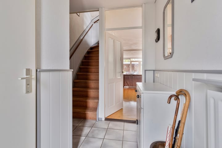 Foto 12 van Fluitekruid 19