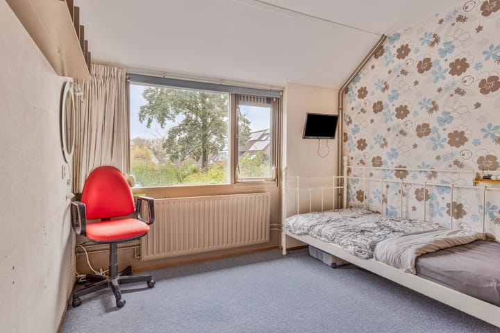 Foto 16 van Fluitekruid 19