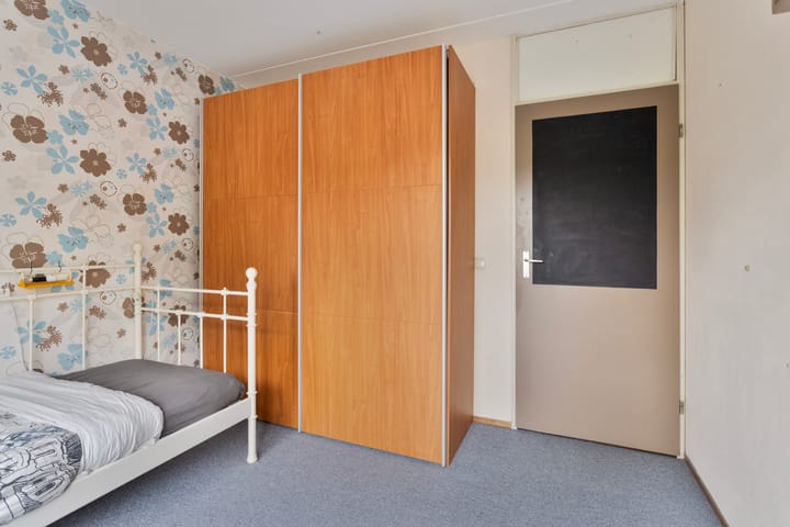 Foto 17 van Fluitekruid 19