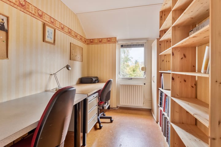 Foto 18 van Fluitekruid 19