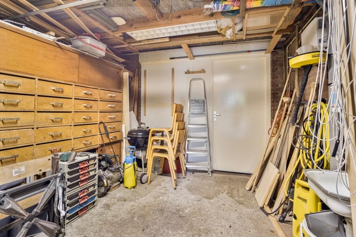 Foto 24 van Fluitekruid 19