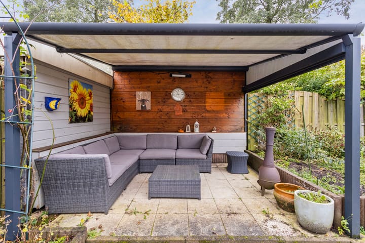 Foto 27 van Fluitekruid 19