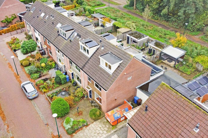 Foto 31 van Fluitekruid 19