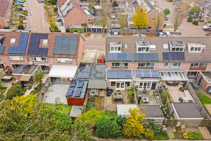 Foto 32 van Fluitekruid 19