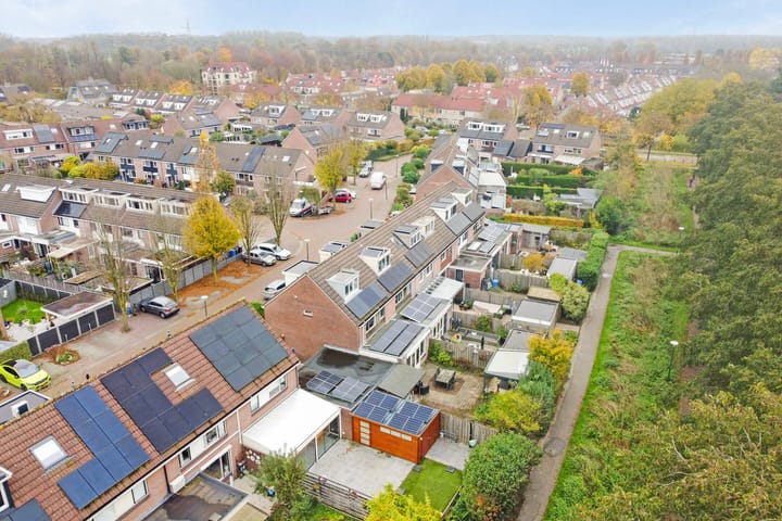 Foto 33 van Fluitekruid 19