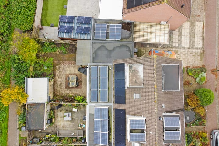 Foto 34 van Fluitekruid 19