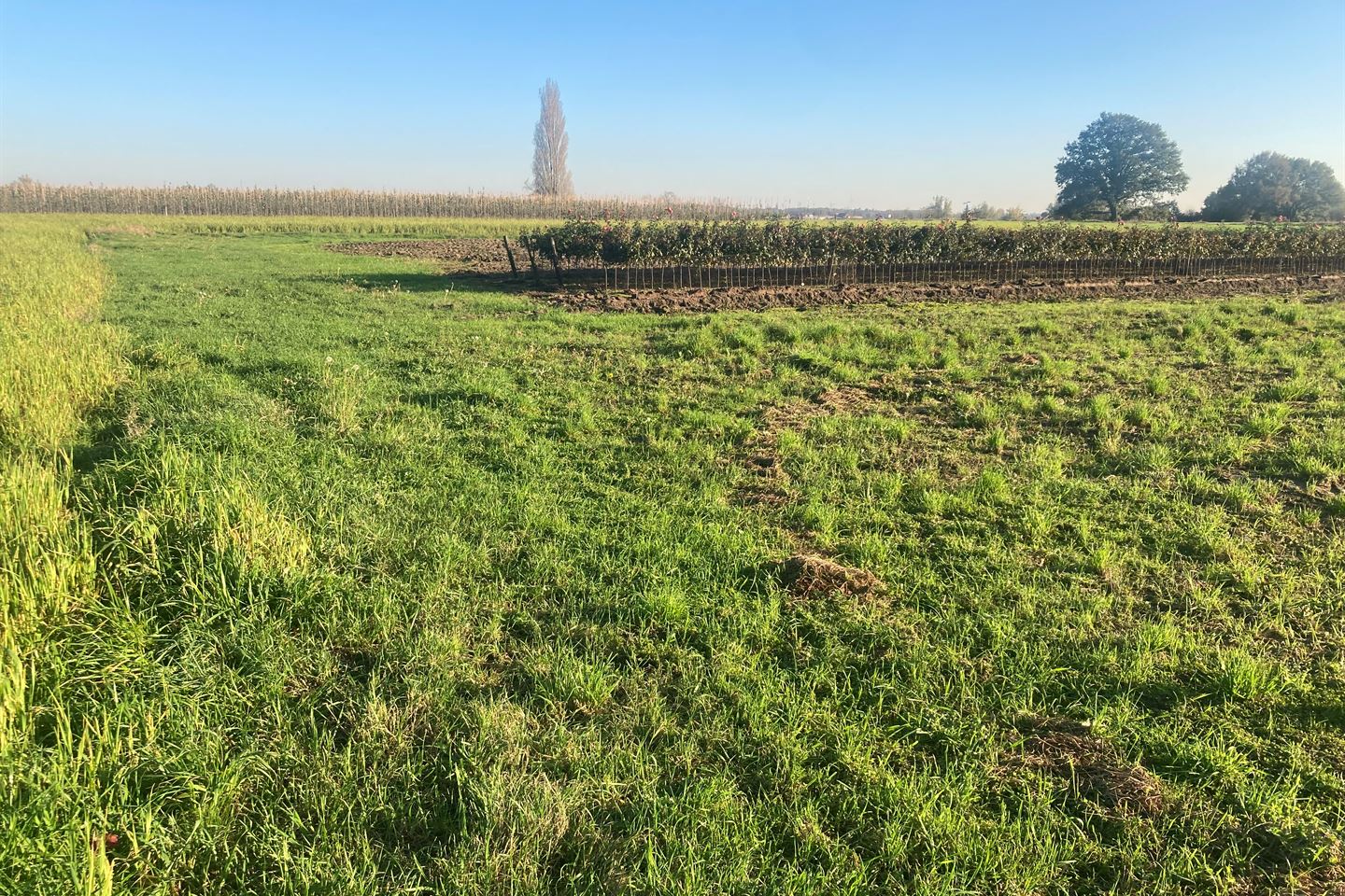 Bekijk foto 2 van Rutterstraatje Noord