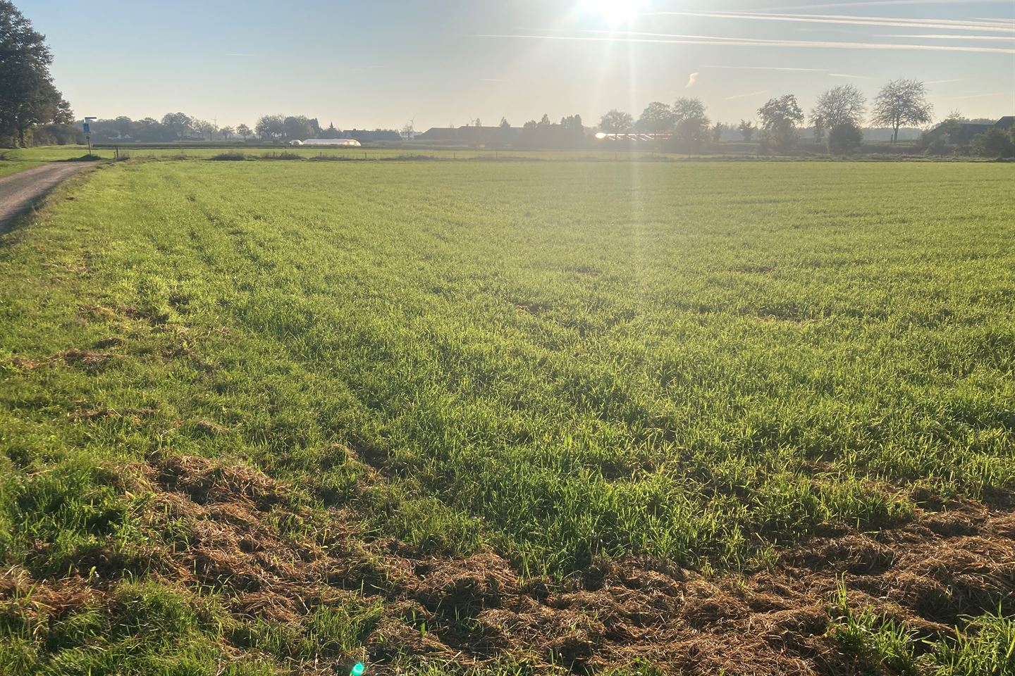 Bekijk foto 3 van Rutterstraatje Noord