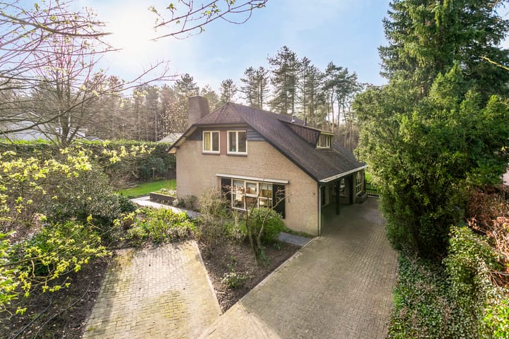 Foto 5 van Borgersstede 9