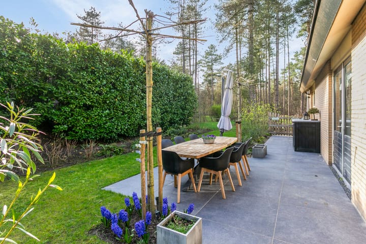 Foto 44 van Borgersstede 9