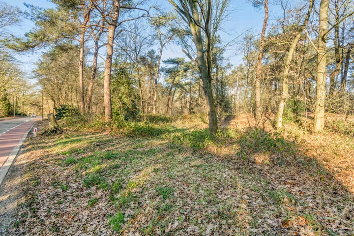 Foto 28 van Duinlaan 105