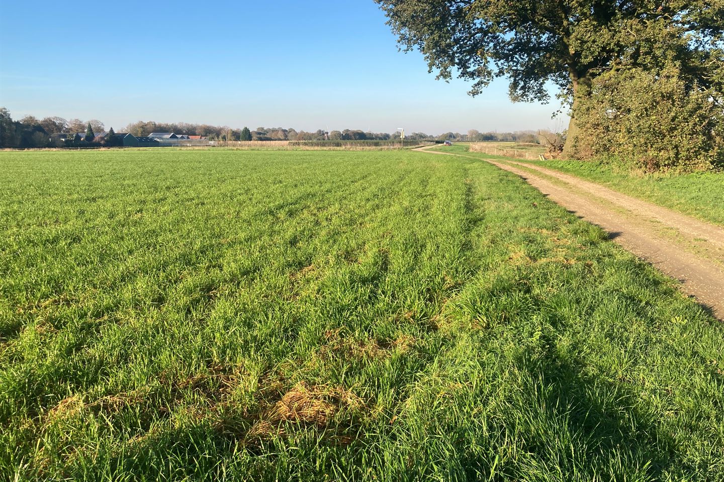 Bekijk foto 3 van Rutterstraatje Zuid