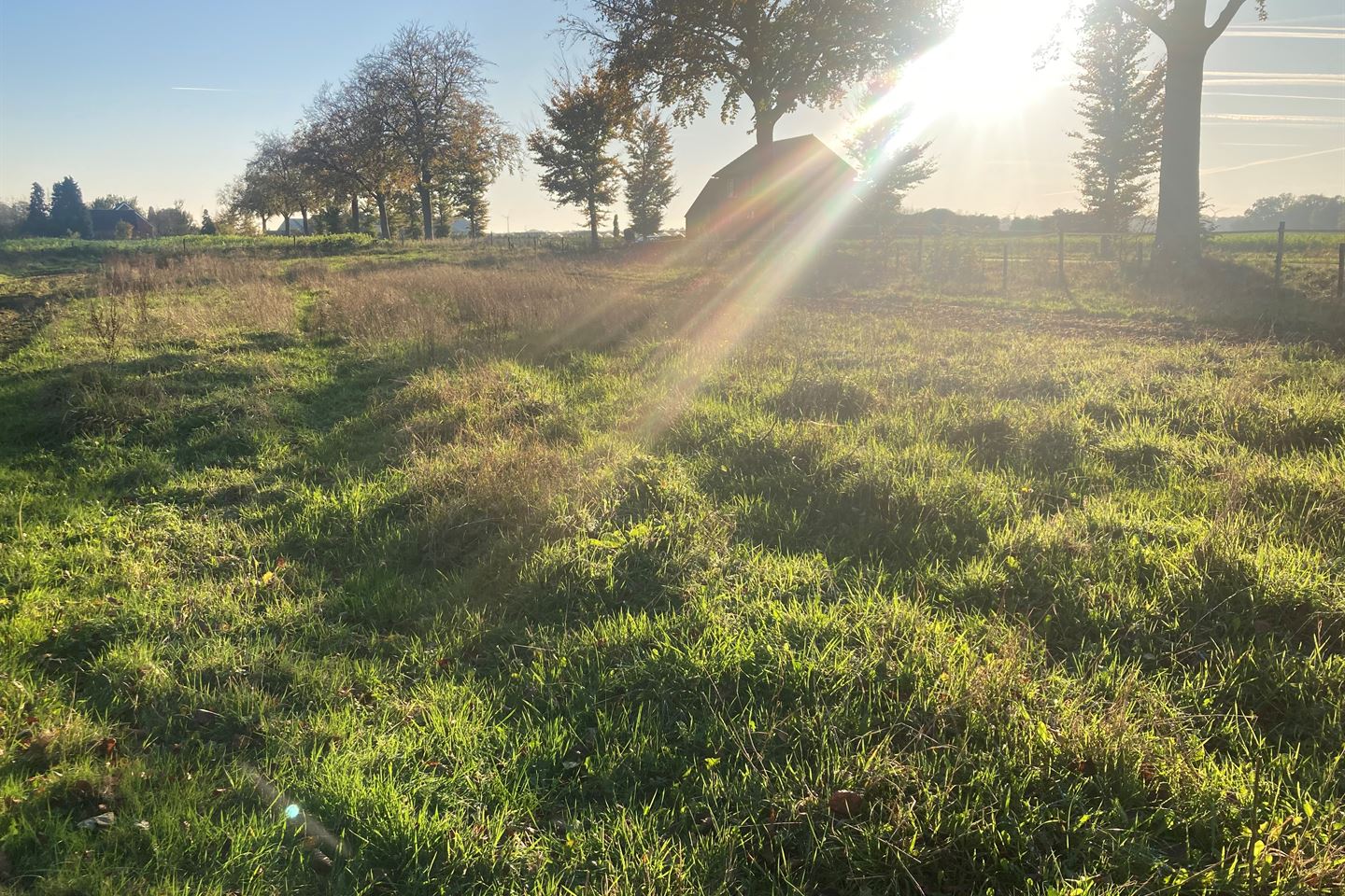 Bekijk foto 4 van Grubbenvorsterweg