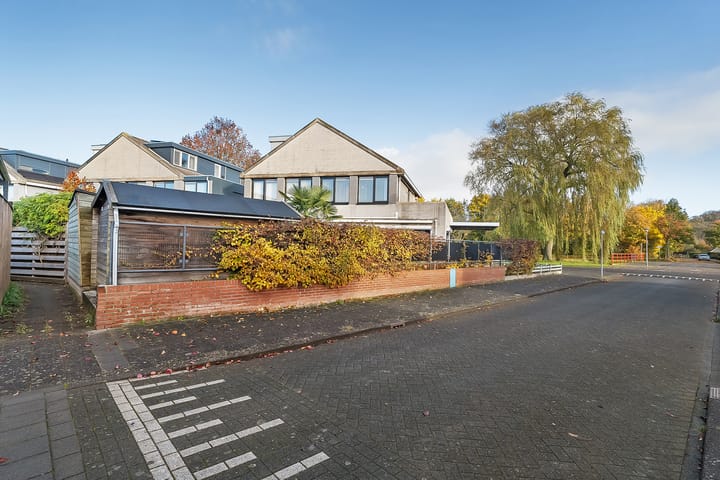 Foto 38 van Dreessingel 60