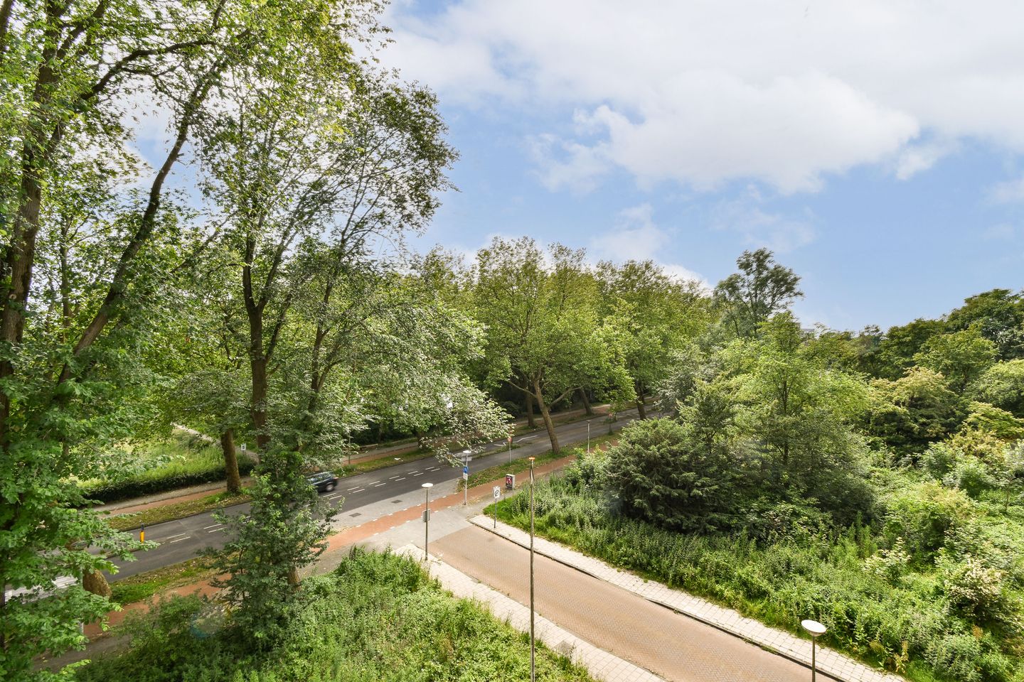 Photo 10 of Suze Groenewegplantsoen 51