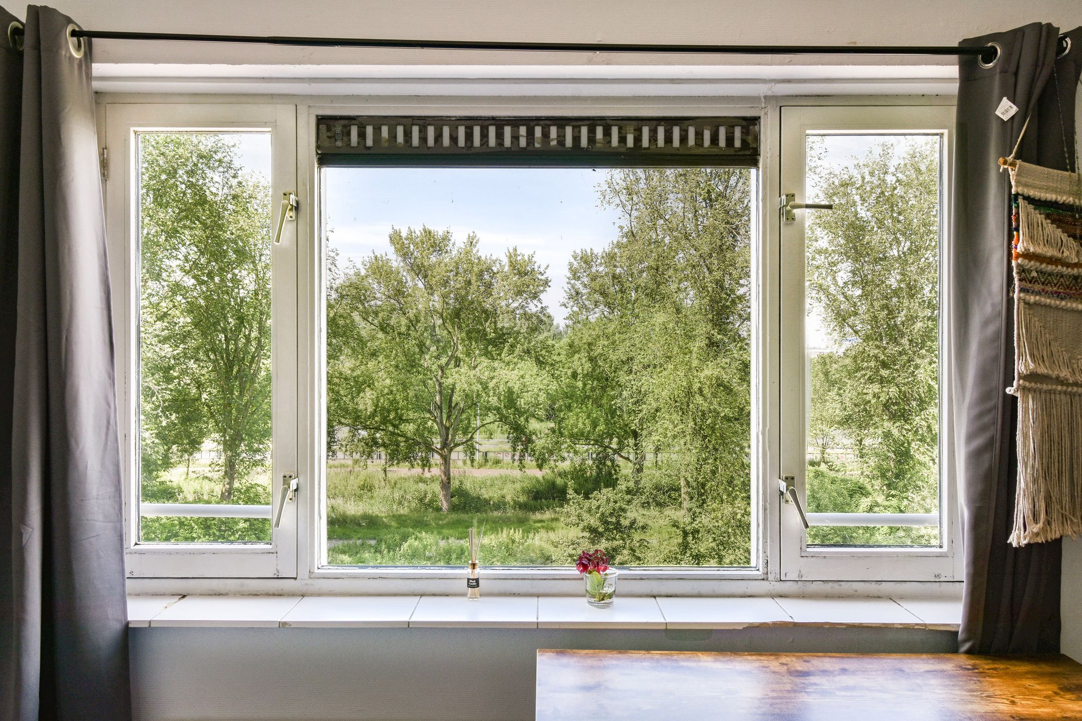 Photo 15 of Suze Groenewegplantsoen 51