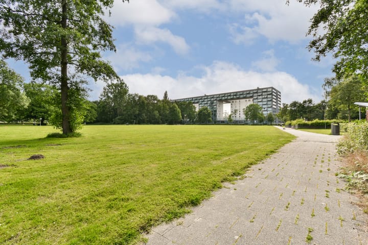 Foto 19 van Suze Groenewegplantsoen 51