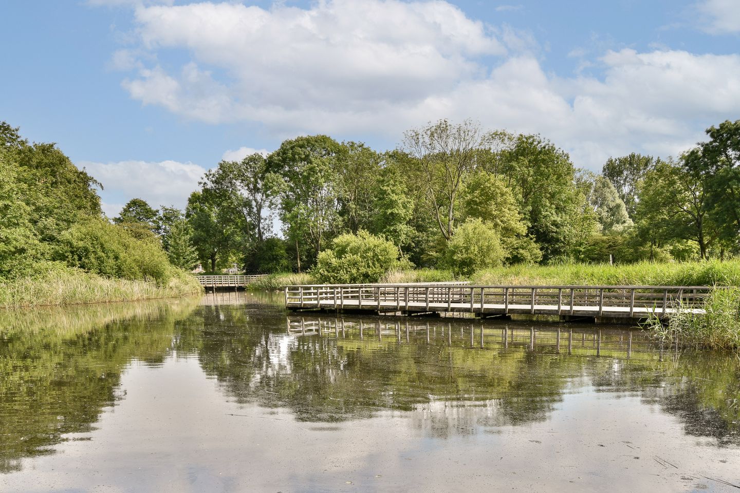 Photo 20 of Suze Groenewegplantsoen 51