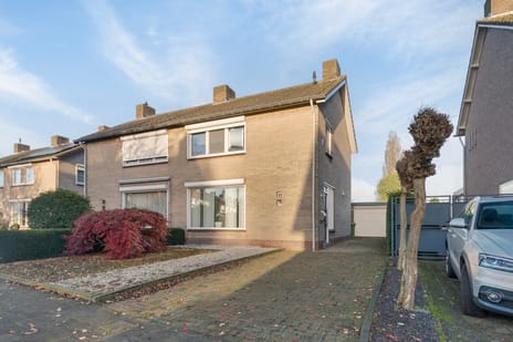 undefined main image