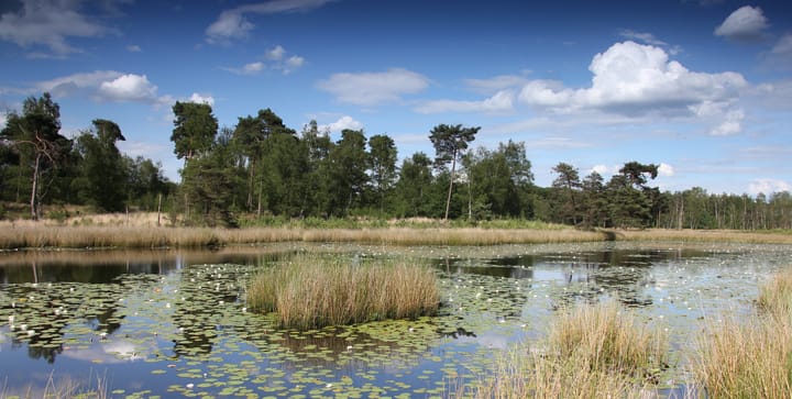 Photo 14 of Linnerpark MorgenWonen 2-kapper (Bouwnr. A29)