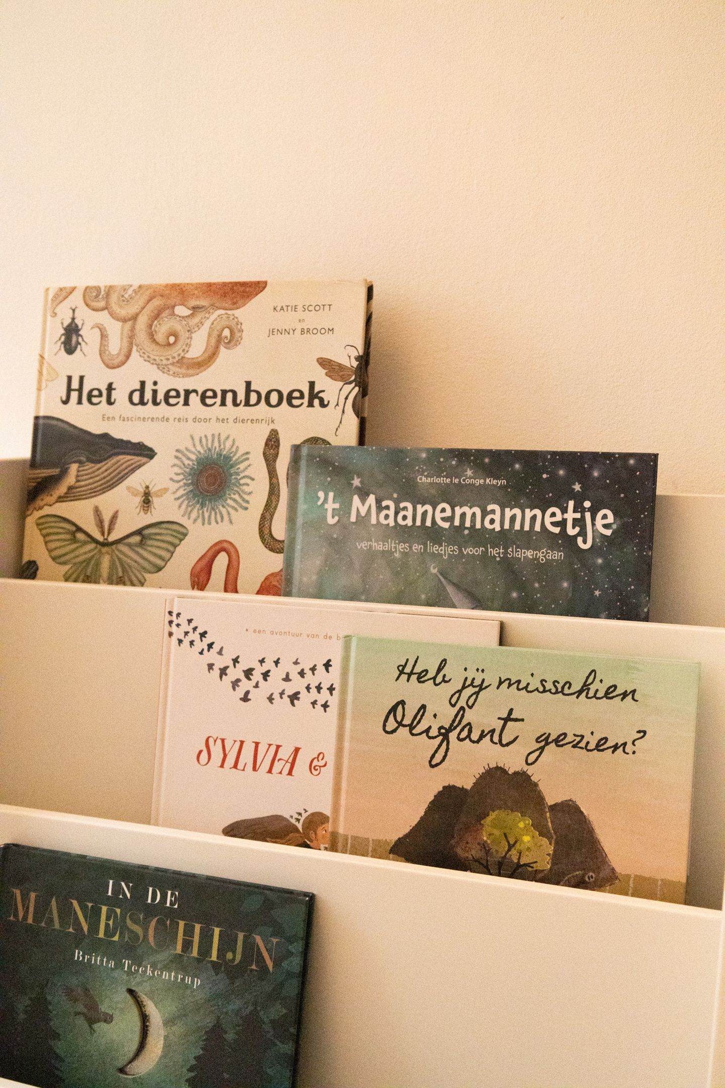 Foto 25 van Kuipersstraat 169