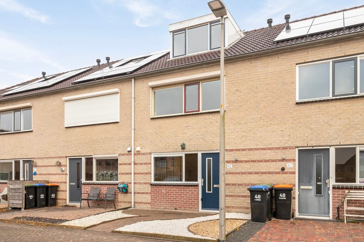 Foto 2 van Vogelwikke 42