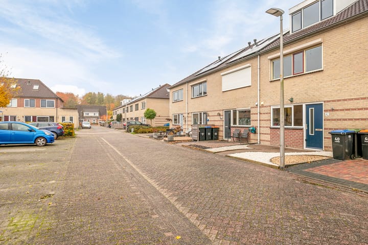 Foto 4 van Vogelwikke 42