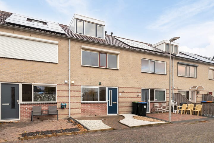 Foto 3 van Vogelwikke 42