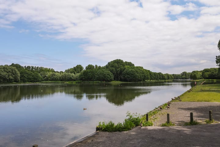 Foto 53 van Thomas Mannsingel 88