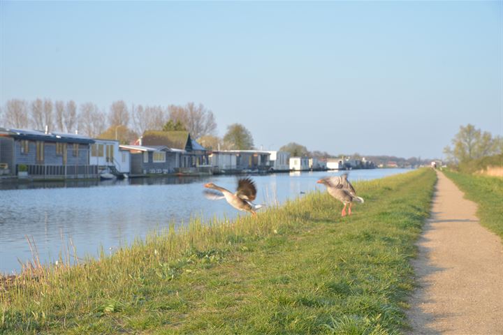 Bekijk foto 34 van Landschot 34