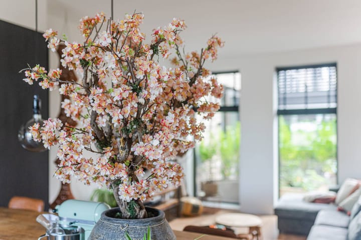 Photo 21 of Cola Debrotstraat 38