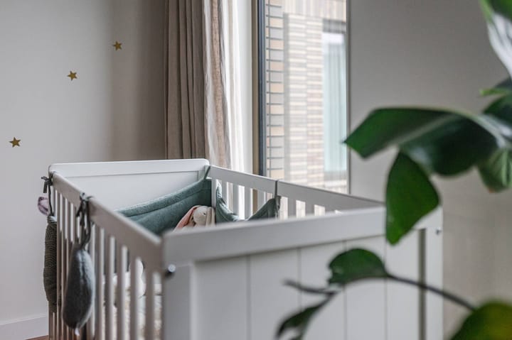 Photo 39 of Cola Debrotstraat 38