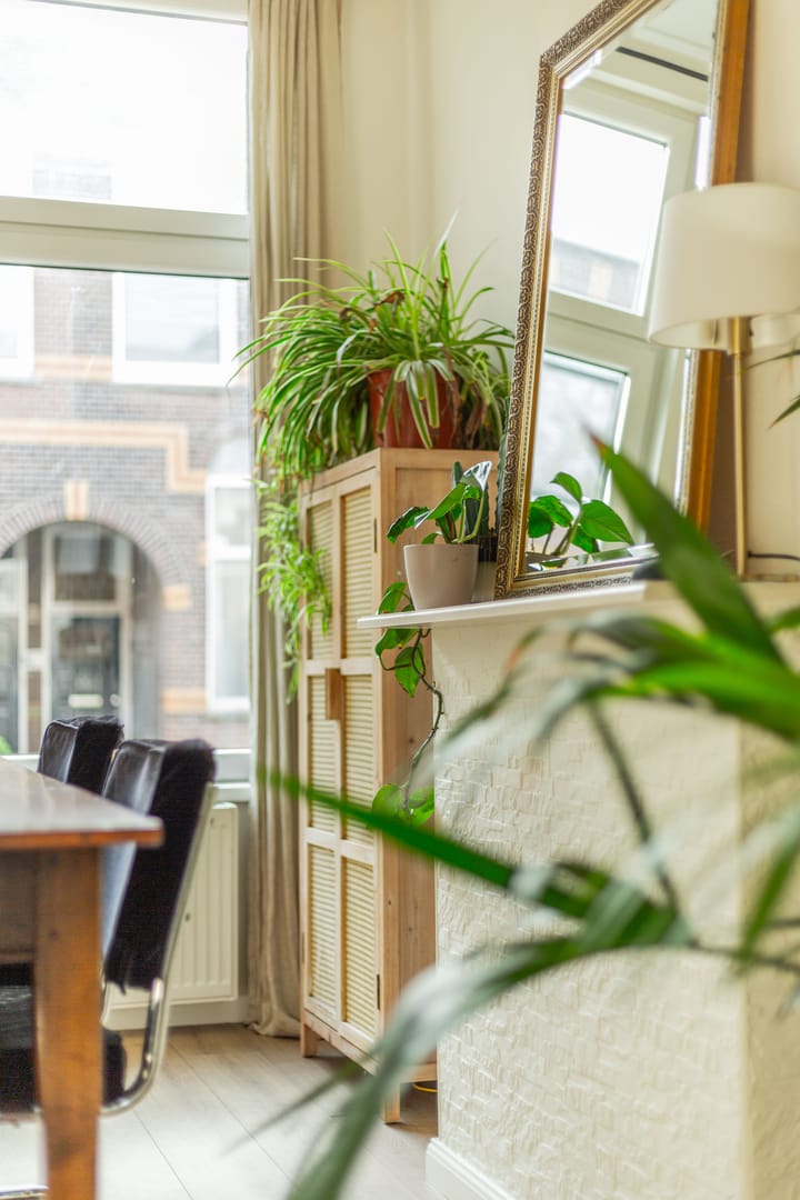 Foto 17 van Cartesiusstraat 199