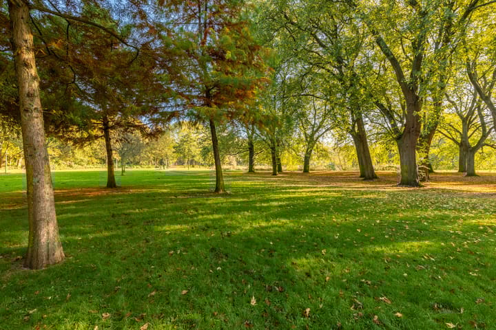 Foto 37 van Nachtwachtlaan 342