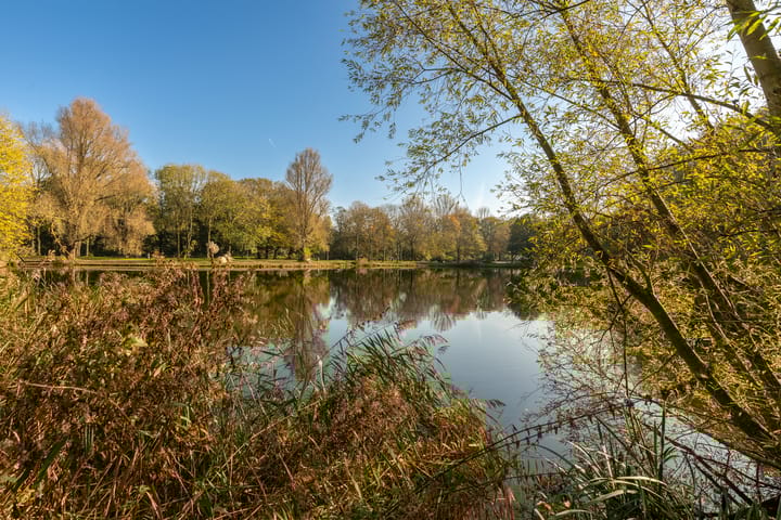 Foto 38 van Nachtwachtlaan 342