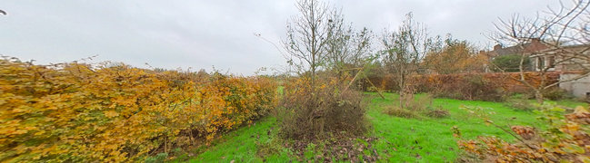 Bekijk 360° foto van Achtertuin 3 van Dorpsstraat 65