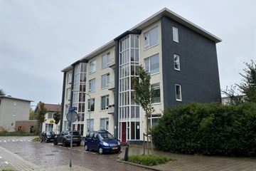 Aalscholverstraat thumbnail